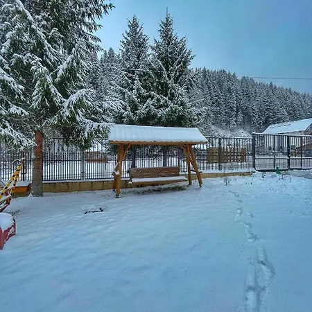 Pensiunea Veturia Guest house