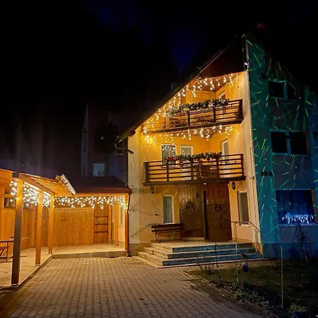 Guest house Pensiunea Veturia *