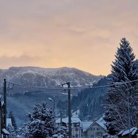 Pensiunea Veturia Guest house Bran (Brasov)