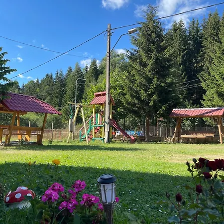 Pensiunea Veturia Guest house