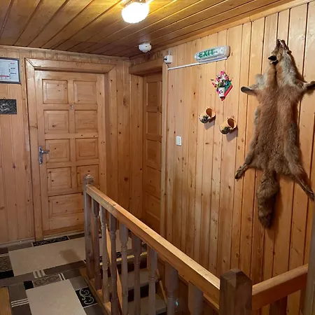 Guest house Pensiunea Veturia